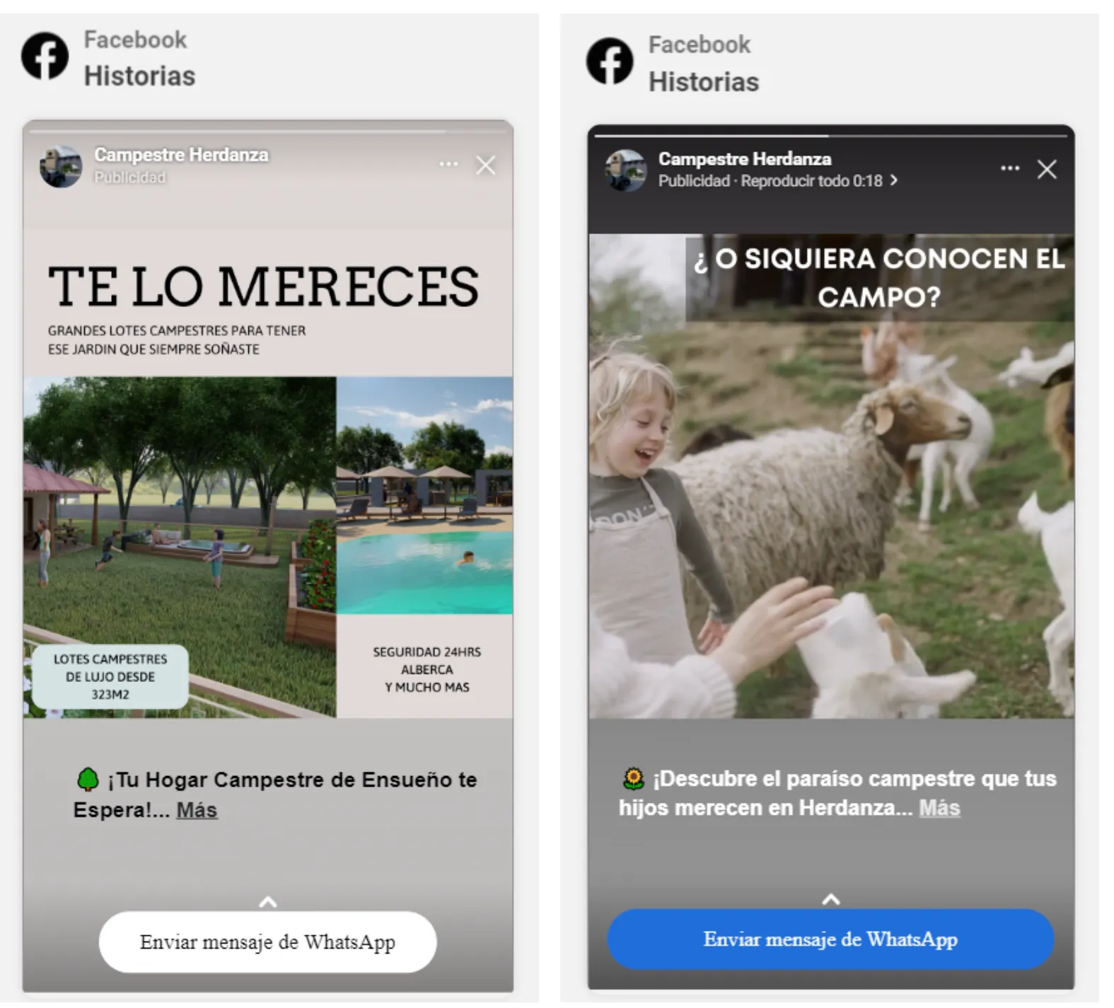 Herdanza campaña 1