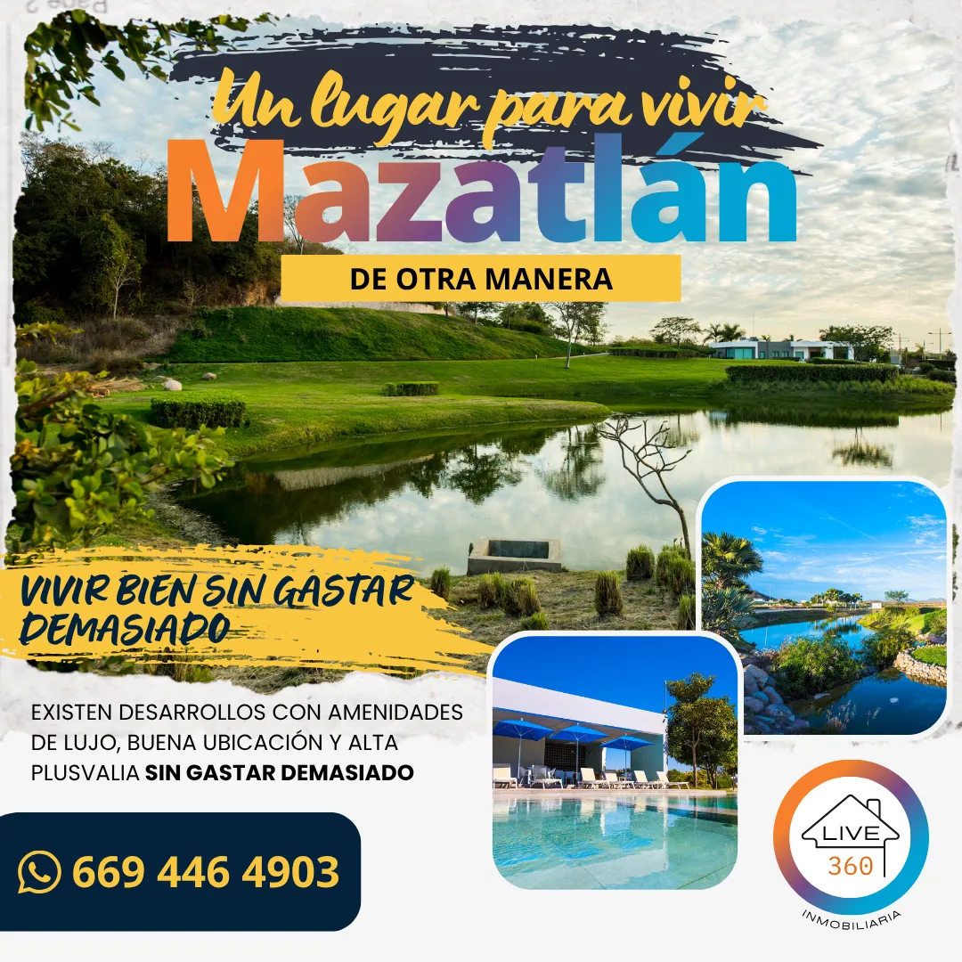 Flyer 3